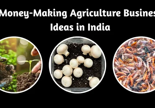 Money-Making Agriculture Business Ideas