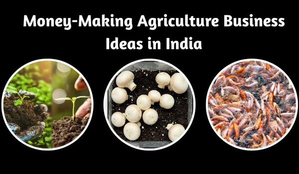 Money-Making Agriculture Business Ideas