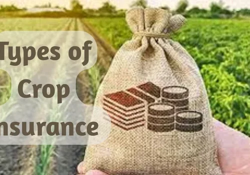 Types of Crop Insurance
