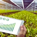 15 Innovative Agriculture Business Ideas in India: The Future of Farming and Profit
