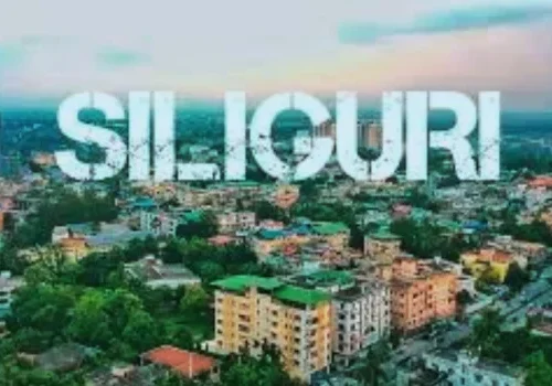 Business Ideas in Siliguri