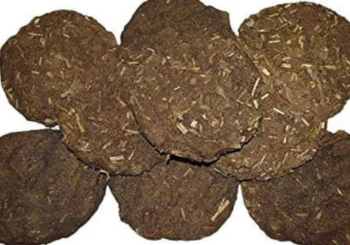 Cow Dung