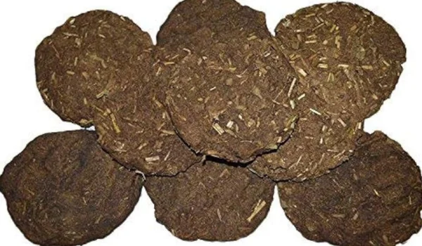 Cow Dung