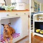 Home Improvement Tips for Pet-Friendly Homes