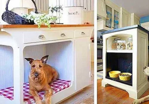 Pet-Friendly Homes