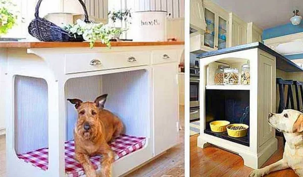 Pet-Friendly Homes