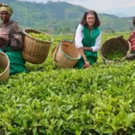 Best Farming Business Ideas in India (2026) – Low Investment & High Profit Agriculture Opportunities