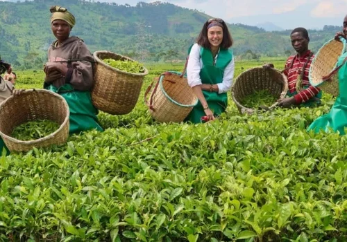 Farming Business