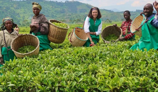Farming Business