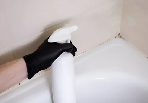 Prevent Mold in Bathrooms Naturally