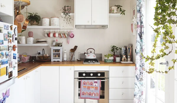 Small Kitchen Storage Problems