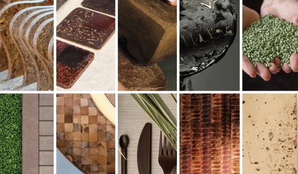 Sustainable Home Renovation Materials