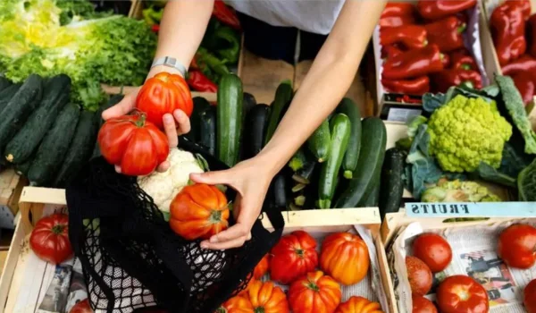Best Business Ideas in Rural Areas