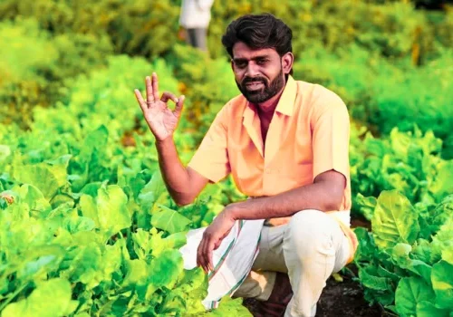 Unique Business Ideas in Village