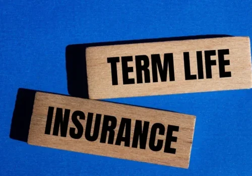Term Life Insurance
